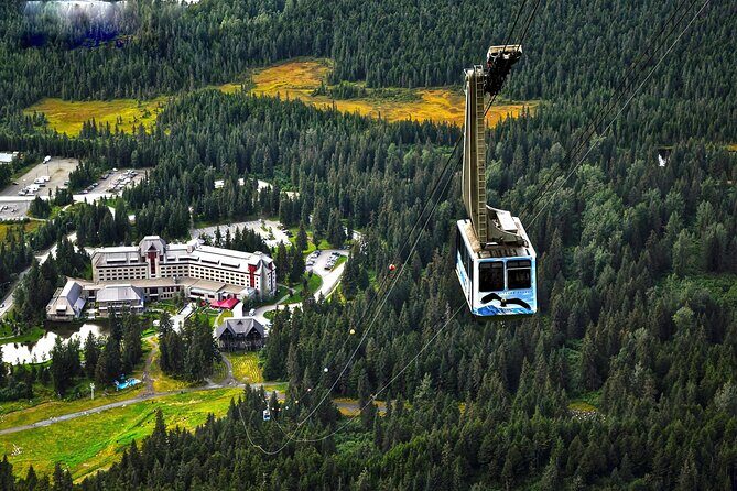 Ultimate Anchorage and Turnagain Arm Private Full Day Tour - Wildlife Conservation Center plus Potter Marsh boardwalk