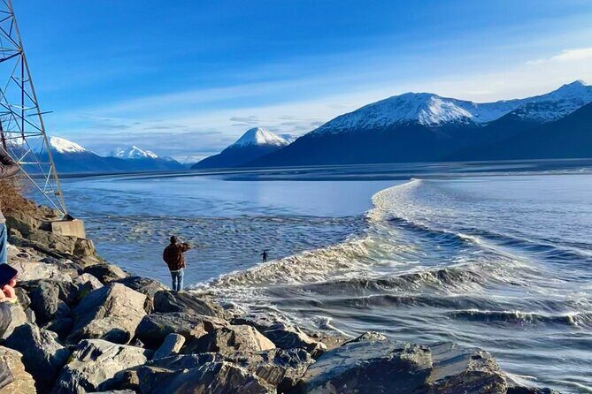 Ultimate Anchorage Summer Wildlife Tour - The 50-mile drive to Turnagain Arm: scenery with a story