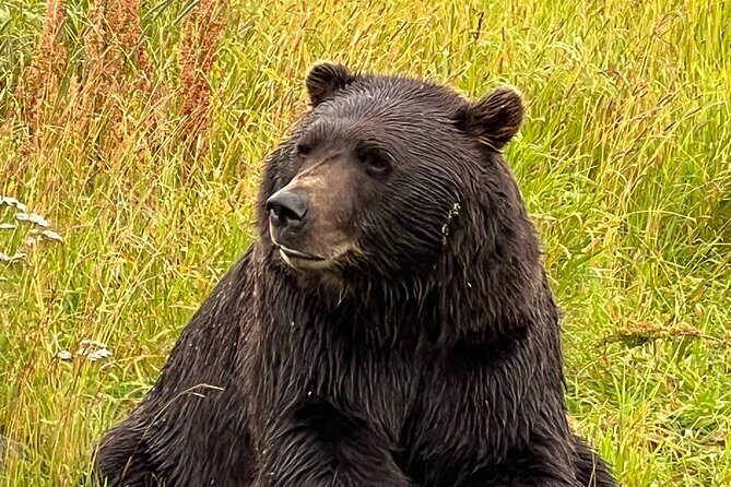 Up to 10 Person Choose Your Own Adventure from Anchorage Alaska - Hope: quiet gold-mining town vibes and a slow Alaska pause