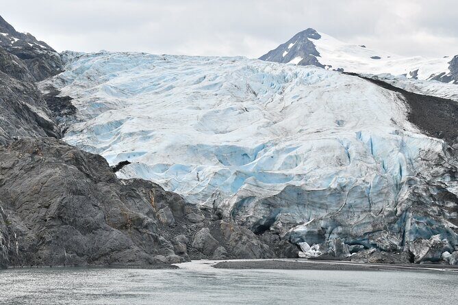 Valley of Glaciers Experience with Portage Glacier Cruise and Wildlife Tour - Price and value: is $225 worth it?