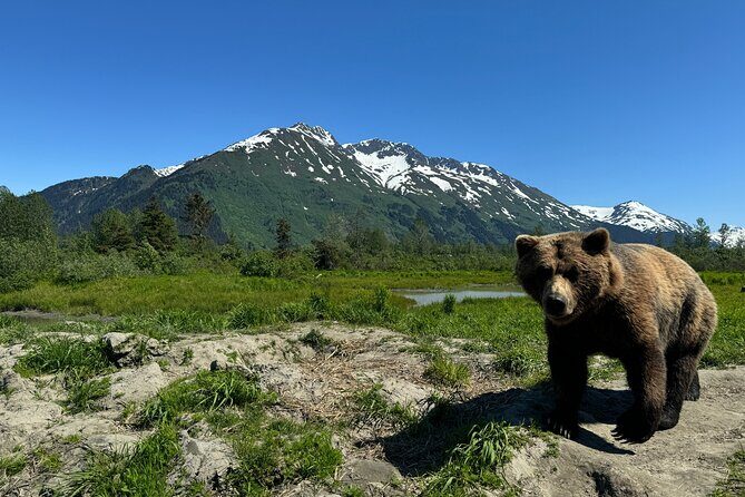 Whittier to Anchorage Cruise Transfer and Private Tour - Price and value: $1,674 per group really changes the math