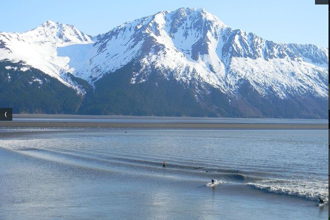 Whittier to Anchorage Cruise Transfer and Private Tour - Alaska Wildlife Conservation Center: wildlife education with an extra fee
