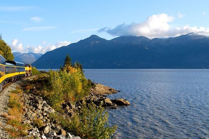 Whittier to Anchorage Cruise Transfer and Private Tour - The 9:00 am start and how the 7–8 hour day fits cruise schedules