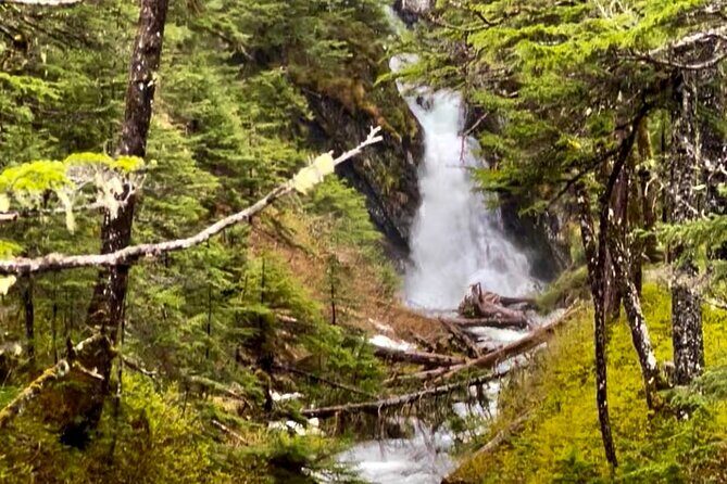 Wilderness and Wine Tasting out of Anchorage - Price and value: what $199 buys you in real-world terms