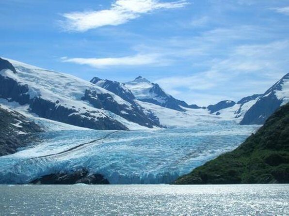 Wilderness, Wildlife, Glacier Experience from Anchorage - Start at Dena’ina and set your expectations for summer vs winter