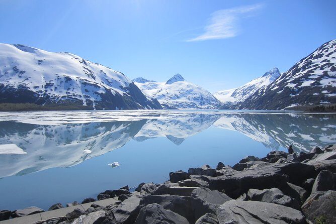 Wildlife and Glaciers with a walk in the Rainforest - A walk through the rainforest: pretty, but don’t expect a long trail