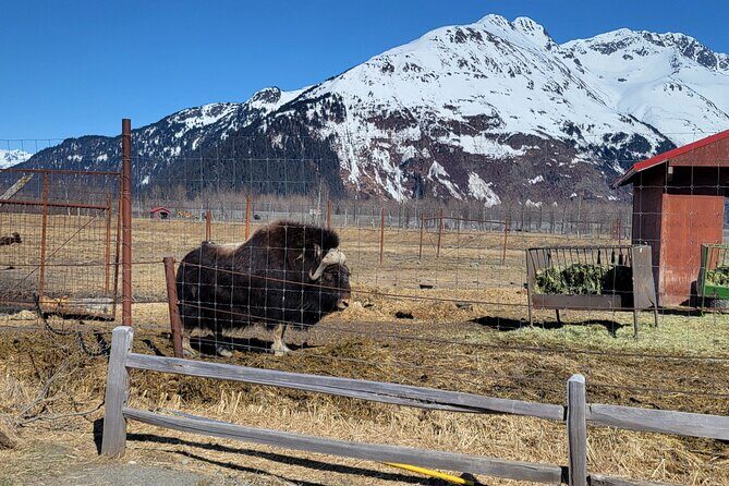Wildlife Center with Lunch and Local Beer Sampling - Price and Value: Why $195 Can Make Sense for a Half Day