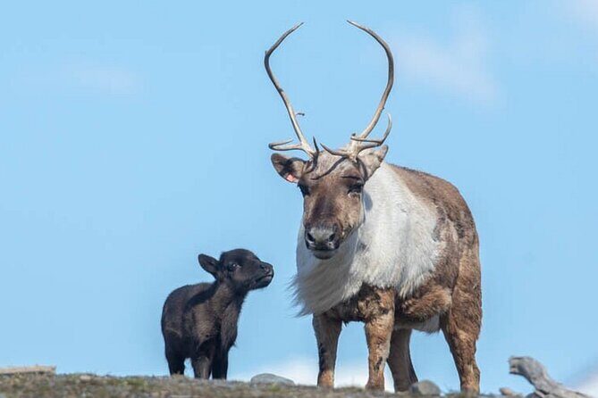 Wildlife Center with Lunch and Local Beer Sampling - Practical Tips Before You Go