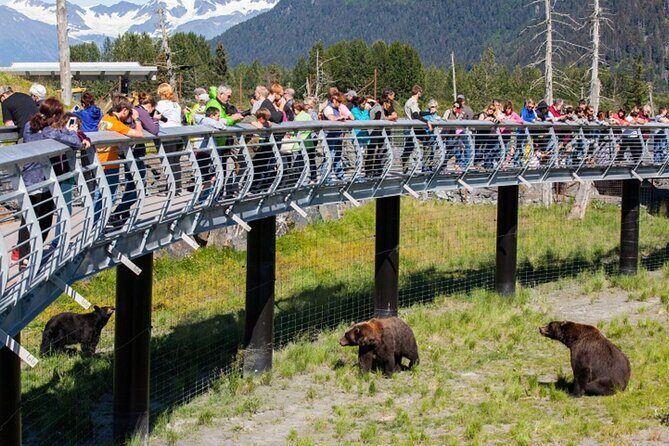 Wildlife Conservation Center and Portage Glacier Lake Viewing - Turnagain Arm’s scenic drive: the first payoff hits fast