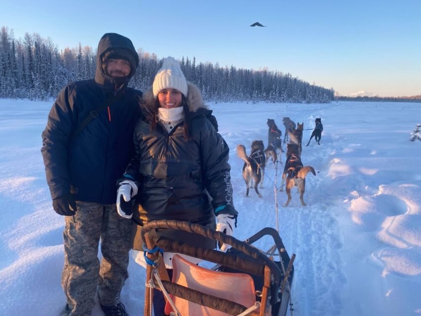 Willow: Traditional Alaskan Dog Sledding Ride - Key Highlights You’ll Actually Feel