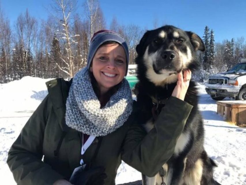 Willow: Traditional Alaskan Dog Sledding Ride - Getting to the Hatcher Pass Visitors Center (and Why It Matters)