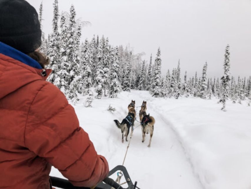 Willow: Traditional Alaskan Dog Sledding Ride - What You’re Wearing and Packing (So You Stay Comfortable)