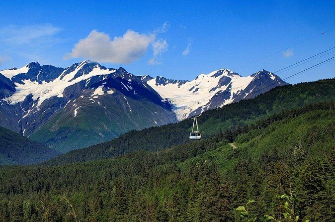 Winter - Alaska Wildlife Center with Alyeska Tram - Stop 2: Alyeska Tram ride up to 2,300 feet