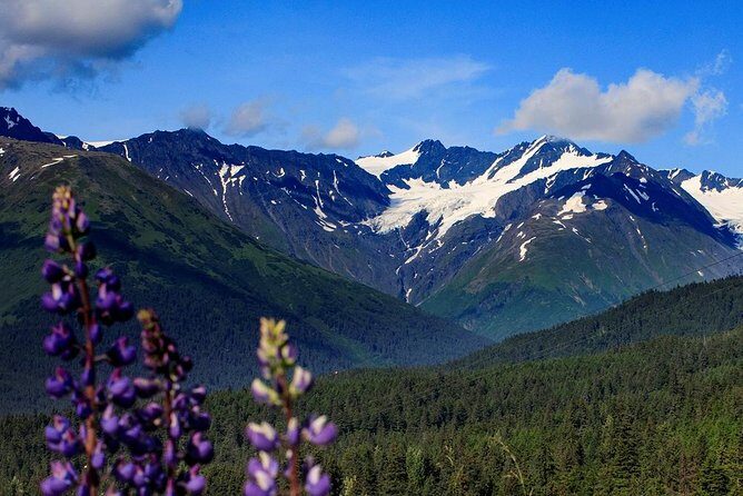 Winter - Alaska Wildlife Center with Alyeska Tram - What “small group” means in practice (and why it matters)