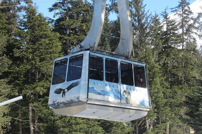 Winter - Alaska Wildlife Center with Alyeska Tram - Price and value: what $129 is really paying for