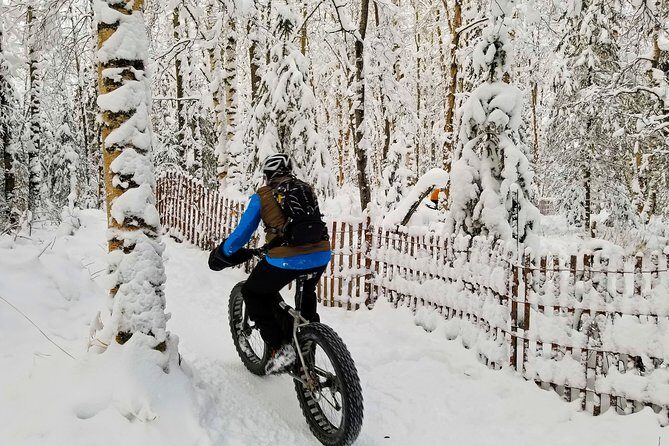 Winter Fat Biking Anchorage Tour - Who this tour suits best (and who should think twice)