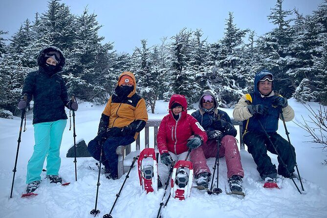 Winter Snowshoeing Adventure - The Glen Alps loop: why this makes a great first winter hike