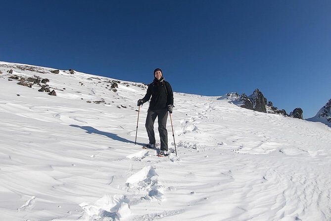 Winter Snowshoeing Adventure - Who should book this snowshoe adventure (and who should skip)
