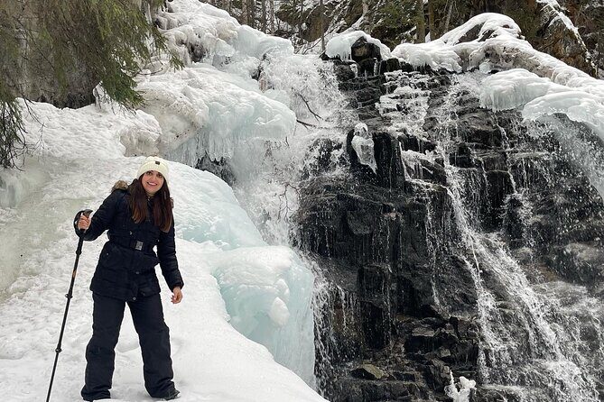 Winter Valley and Forest Hike - What $179 gets you: value beyond the ticket price
