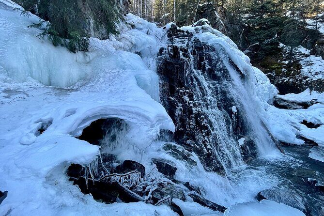 Winter Valley and Forest Hike - Gear and clothing: what’s your job vs theirs
