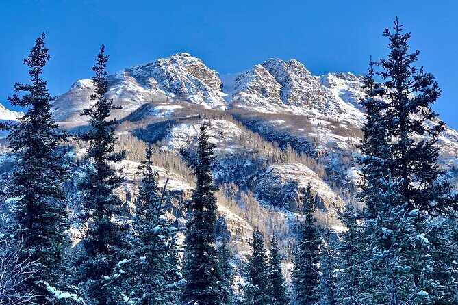 Winter Valley and Forest Hike - Guide style that really changes the hike: Leah and Greg