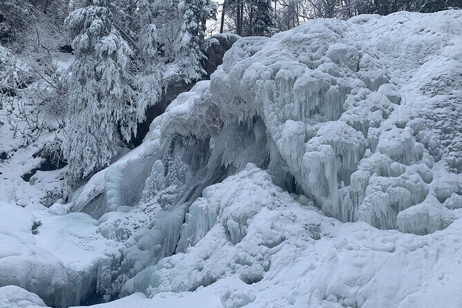 Winter Waterfall Walk - The short nature walk: boreal forest details you’ll actually remember