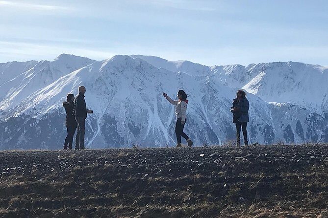 Winter - Wildlife & Turnagain Arm Tour - Portage Glacier: short time, serious ice views